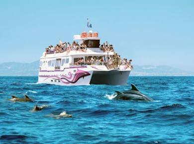 Costasol Cruceros Delphinbeobachtung Bootsfahrt