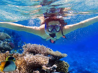 Eilat coral reef snorkeling with instructor
