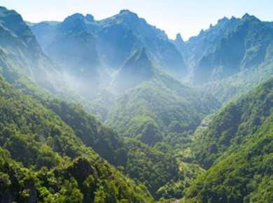 Forellenlevada -Ribeiro Frio