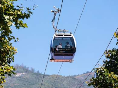 Monte Palace Tropical Garden Tour