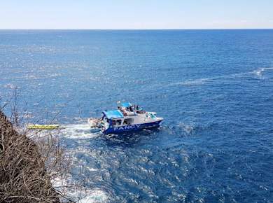 Northwestern La Palma Cruise
