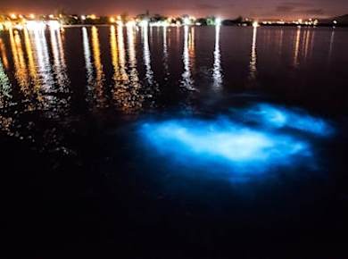 Abendliche Bootsfahrt in der leuchtenden Lagune