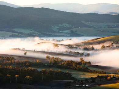 Yarra Valley Bus-Weintour inklusive Mittagessen mit einem Glas Wein und Schokolade