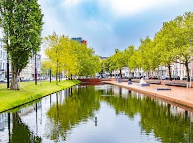 Architektonischer Spaziergang durch Rotterdam mit einem Einheimischen