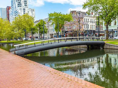 Historical walk of Rotterdam with a local