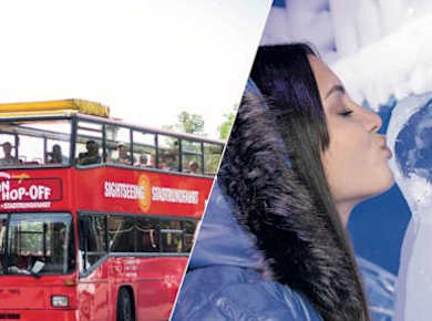 Berlin Icebar und 24-Stunden-Hop-On-Hop-Off-Busticket