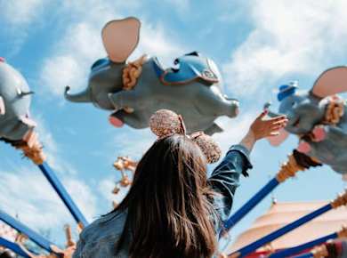 Walt Disney World Resort single-park multi-day tickets