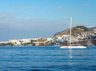 4x4 majestic mountains & dolphin-watching boat tour