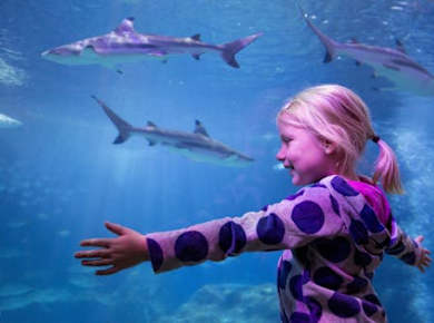 SEA LIFE Oberhausen tickets