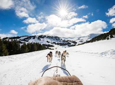 El Tarter Area Husky Sleigh Ride Experience
