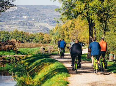 Amarone-Wein E-Bike-Tour