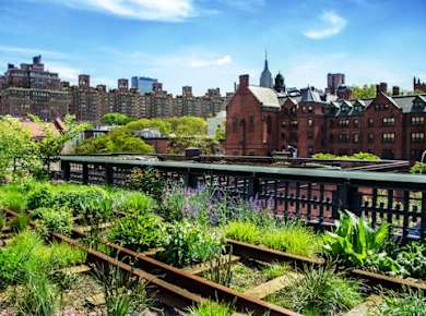 New York City High-Line und Hudson Yards Wanderung
