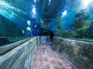 Malta National Aquarium Ticket