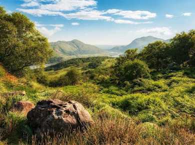 Killarney selbst geführte Radtour