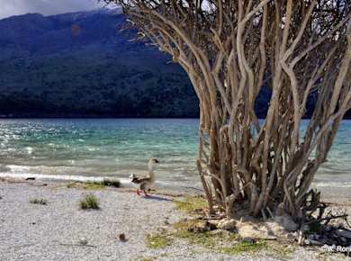 Tour durch das unberührte südliche Kreta ab Rethymno