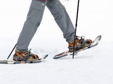 Private Tromsø Schneeschuhwanderung mit einer TeslaX-Autofahrt