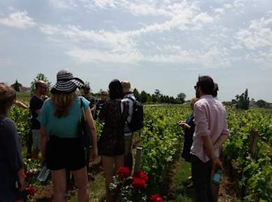 Halbtagesausflug zu den Weingütern von Saint-Emilion ab Bordeaux