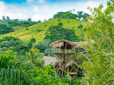 Anamuya Jungle Buggy Safari Tour