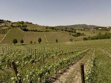 Privates Weinerlebnis im Chianti und Radda im Chianti