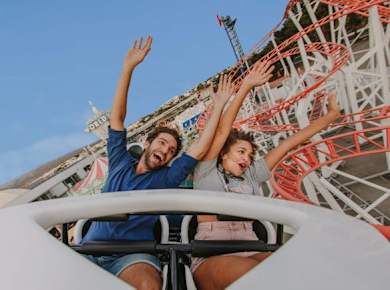 Wooland Holiday World Ticket