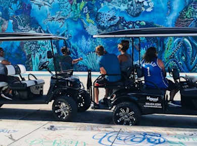 Wynwood Graffiti-Golfwagentour