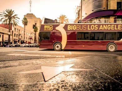 Große Busrundfahrt durch Los Angeles