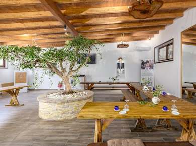 Private VIP Corfu Olive Mill Tour