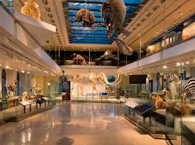 Tickets für das Natural History Museum of Los Angeles