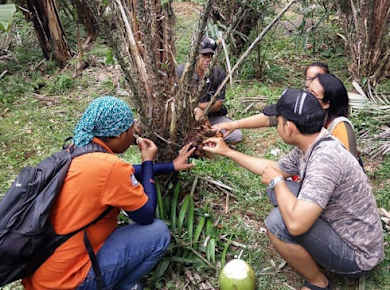 Salak Agro Eco Trekking Tour