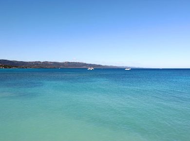 Cayo Arena Catamaran Tour with Cigar Factory Visit