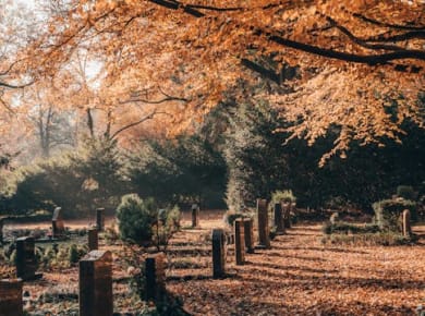 Geführter Rundgang des Ohlsdorfer Friedhofes in Hamburg