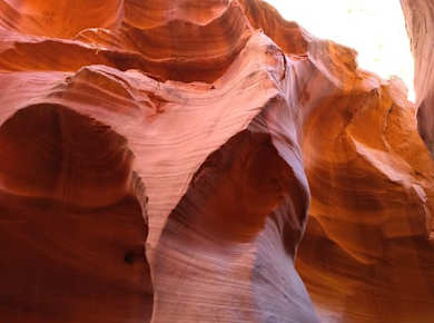 Lower Antelope Canyon und Horseshoe Bend Tour ab Las Vegas