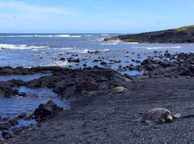 Sightseeing-Tagestour auf der Big Island von Hawaii ab Kohala