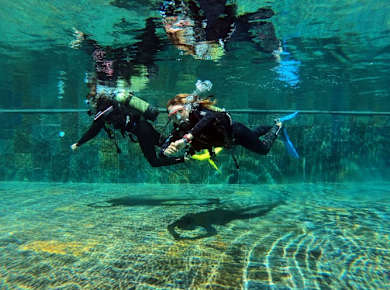 Sal Diving Experiences