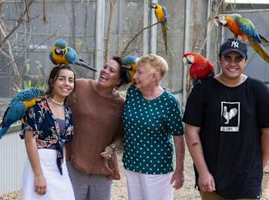 Eintrittskarten für den Botanischen Garten Maleny und die Vogelwelt