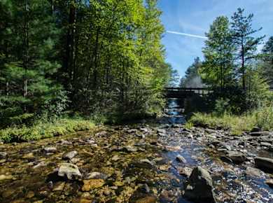 Michaux State Forest couple's bike ride
