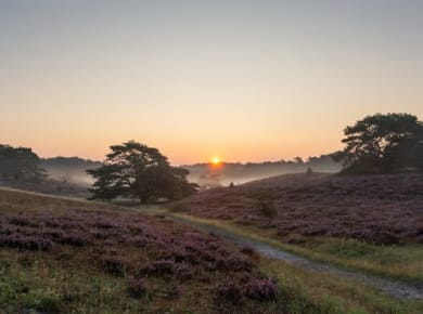 Selbstgeführter interaktiver Naturlehrpfad von Landgraaf