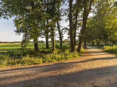 Selbstgeführter interaktiver Naturpfad von Eersel