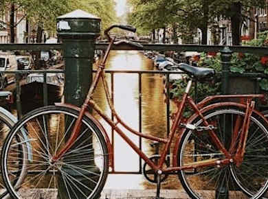 Halbprivater Rundgang durch die Geschichte von Amsterdam und das Stadtzentrum