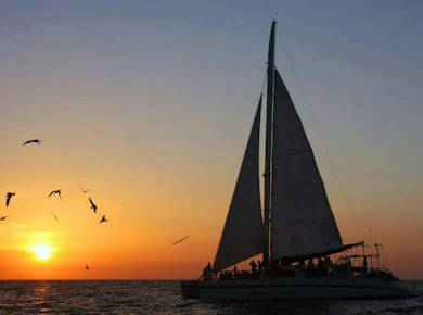 Pura Vida Sunset Cruise