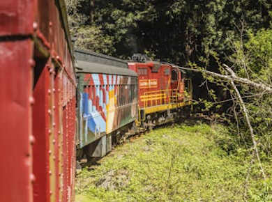 Skunk Train Pudding Creek Express tickets in Fort Bragg, CA