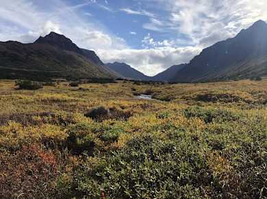 fareharbor-gohikealaska|204108-665789