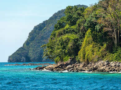 Phi Phi Islands Snorkelling Tour