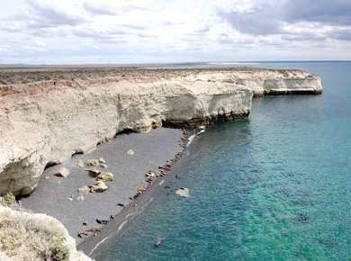Private Tour durch Puerto Madryn und Besuch des Seelöwenreservats Punta Loma