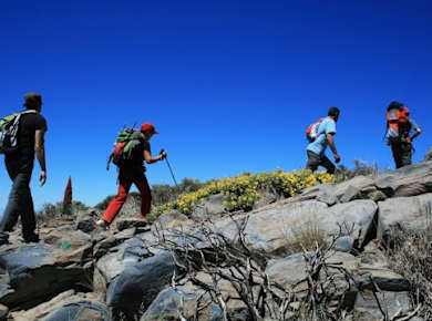 Leichte Wandertour auf dem Teide