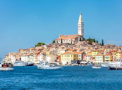 Istrian Coast Boat Cruise with BBQ from Poreč