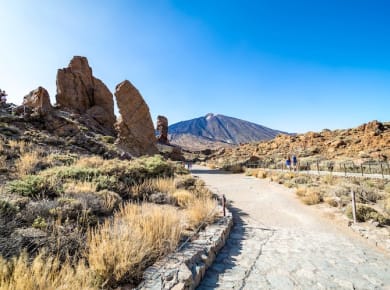 Teide Volcano Tour with Cable Car Ticket