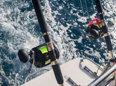 El Cid Marina deep-sea fishing experience