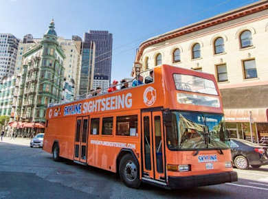 San Francisco bay cruise and double-decker night tour
