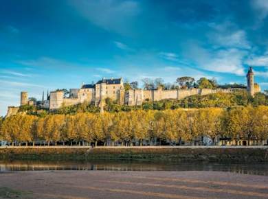Ticket für die königliche Festung Chinon